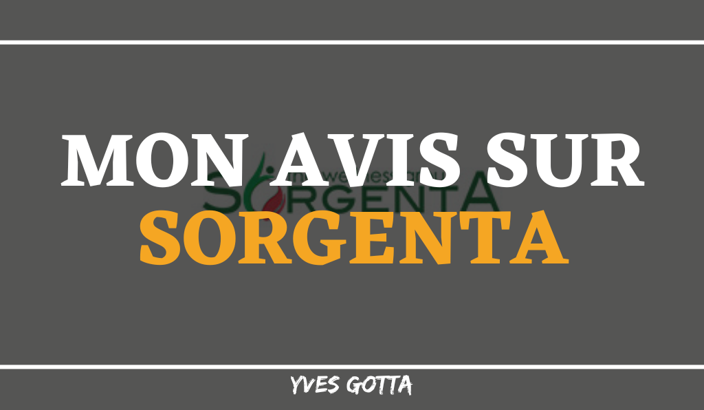 You are currently viewing Avis Sorgenta : Un MLM signé Italien